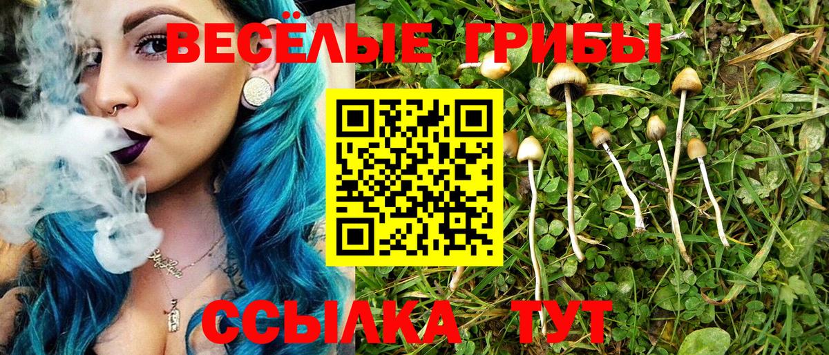 Галлюциногенные грибы мицелий Новокубанск